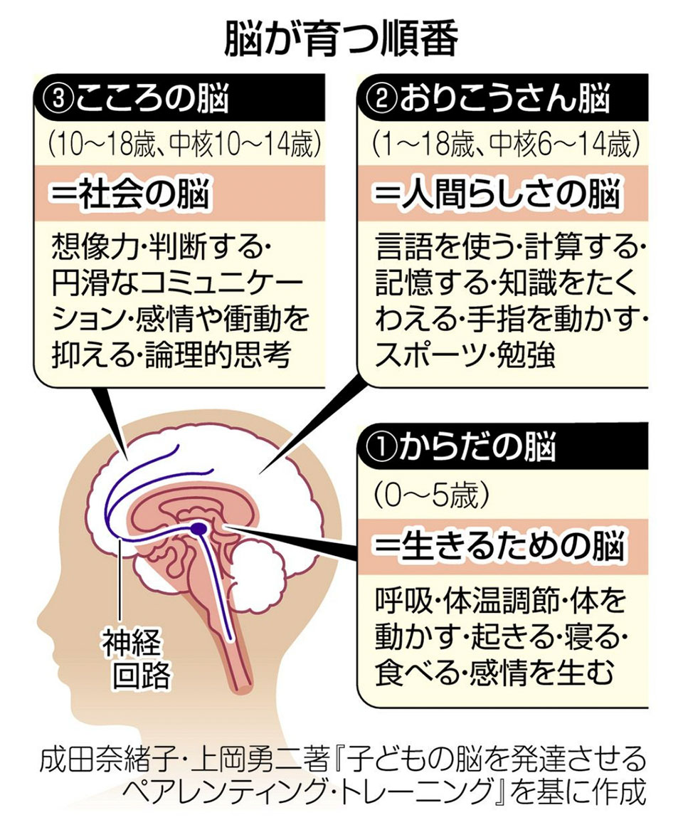 脳が育つ順番